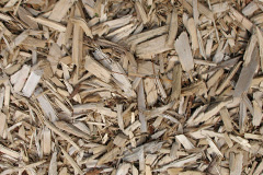 biomass boilers Trelech